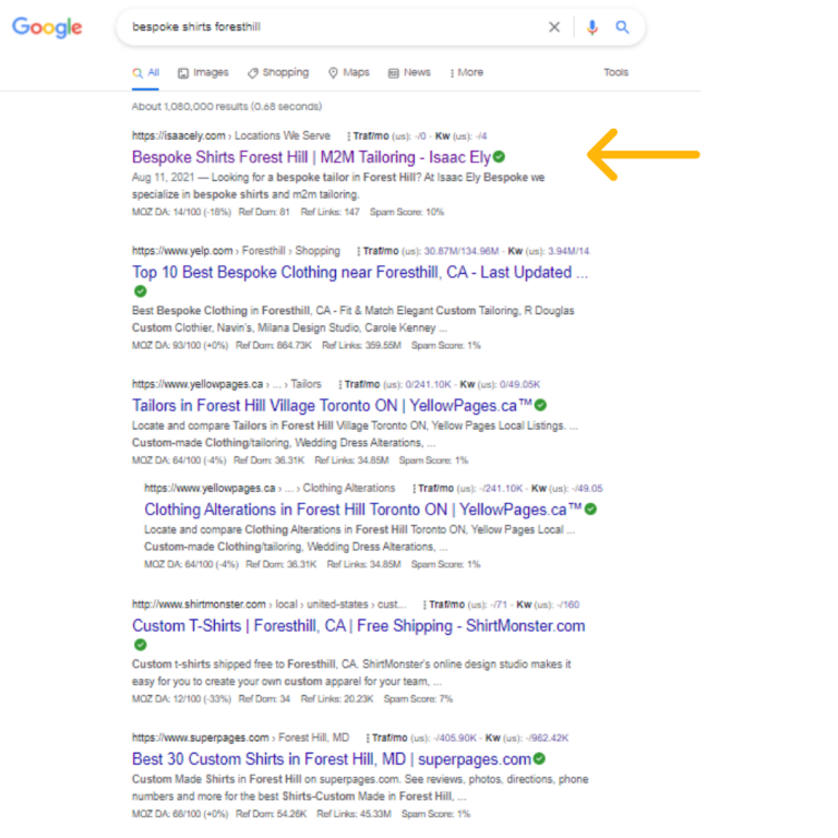 Our SEO Results