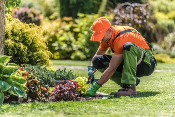 How to Get Landscaping Leads